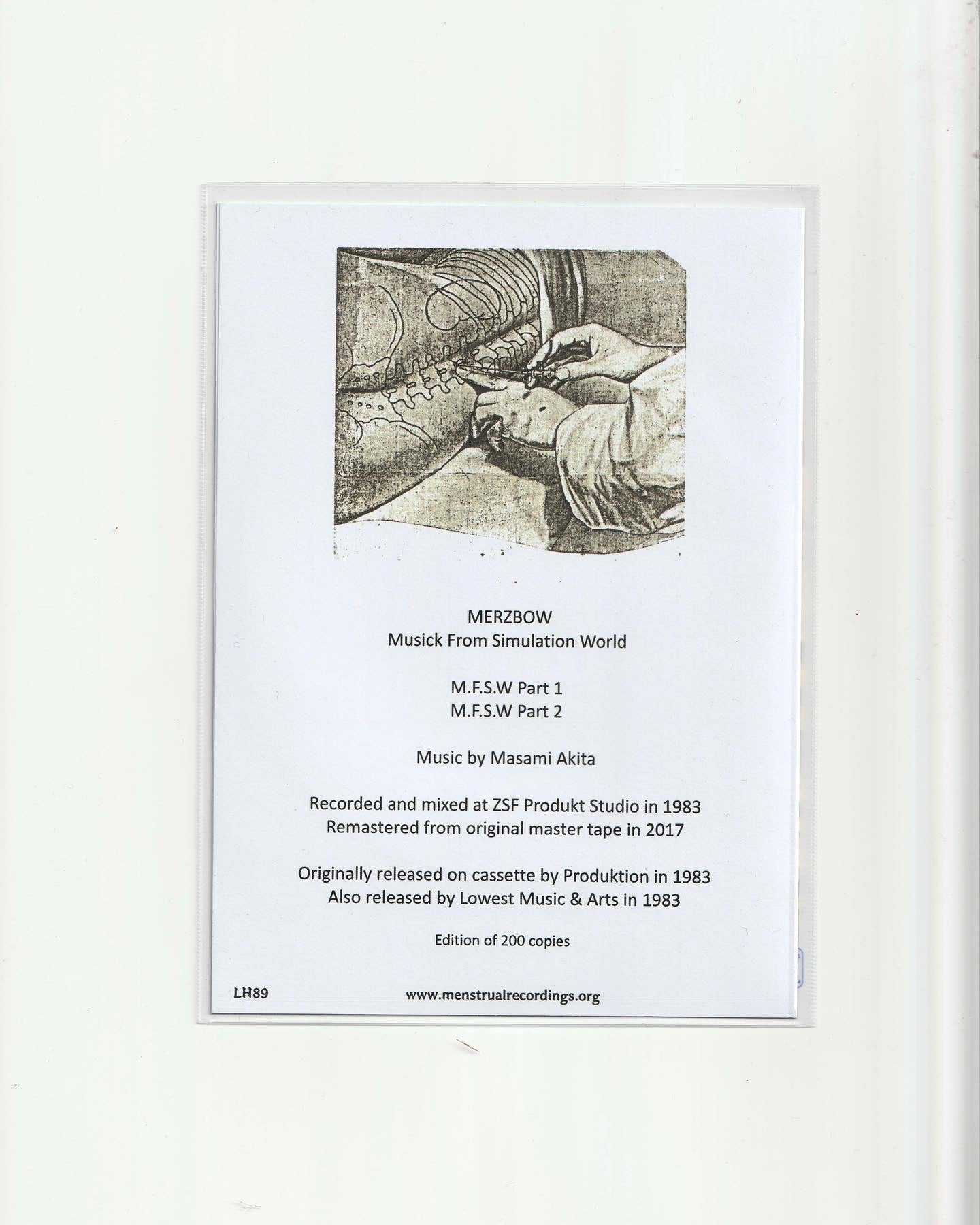 Merzbow – Musick From Simulation World