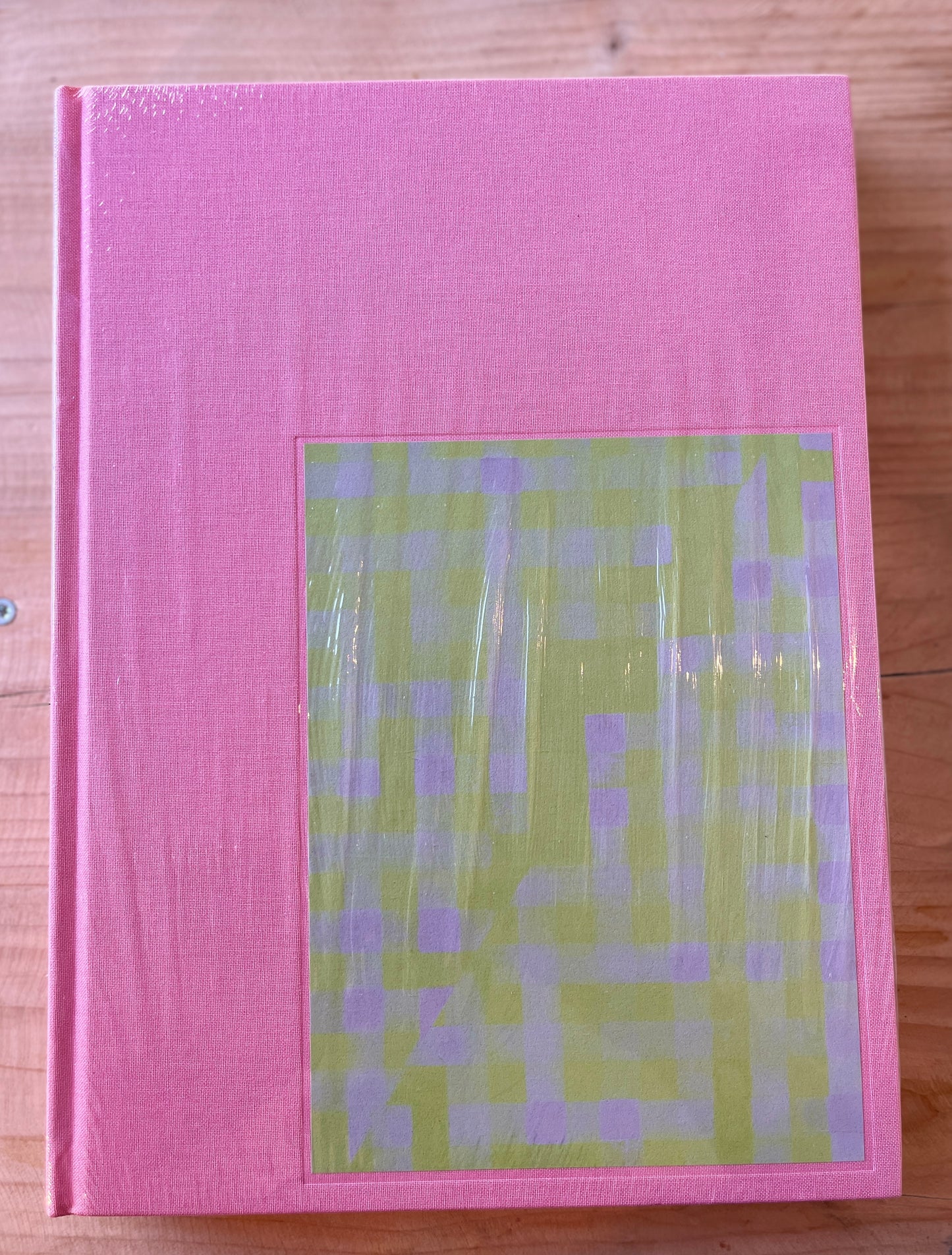 Cheryl Donegan. GRLZ + VEILS
