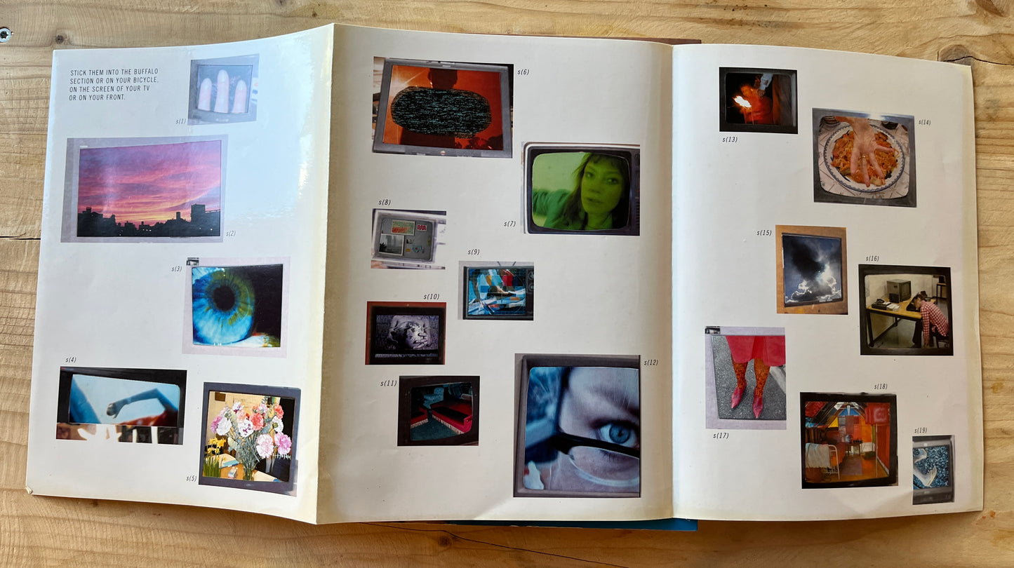 Pipilotti Rist - Apricots Along the Street