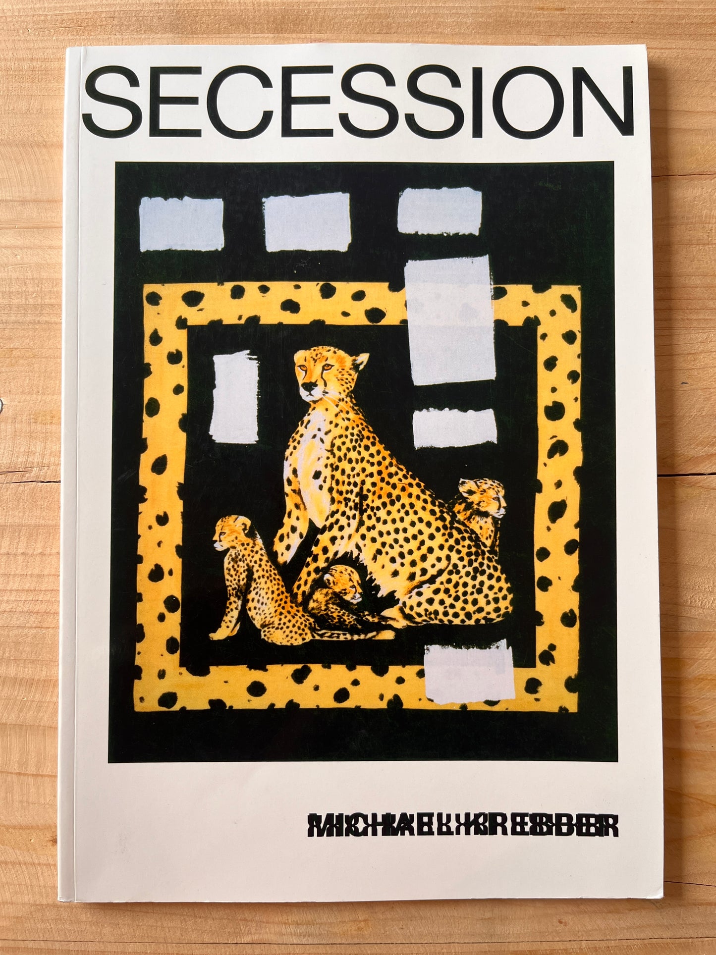 Altered Secession Catalogue - Michael Krebber (Gordon, Kennon)
