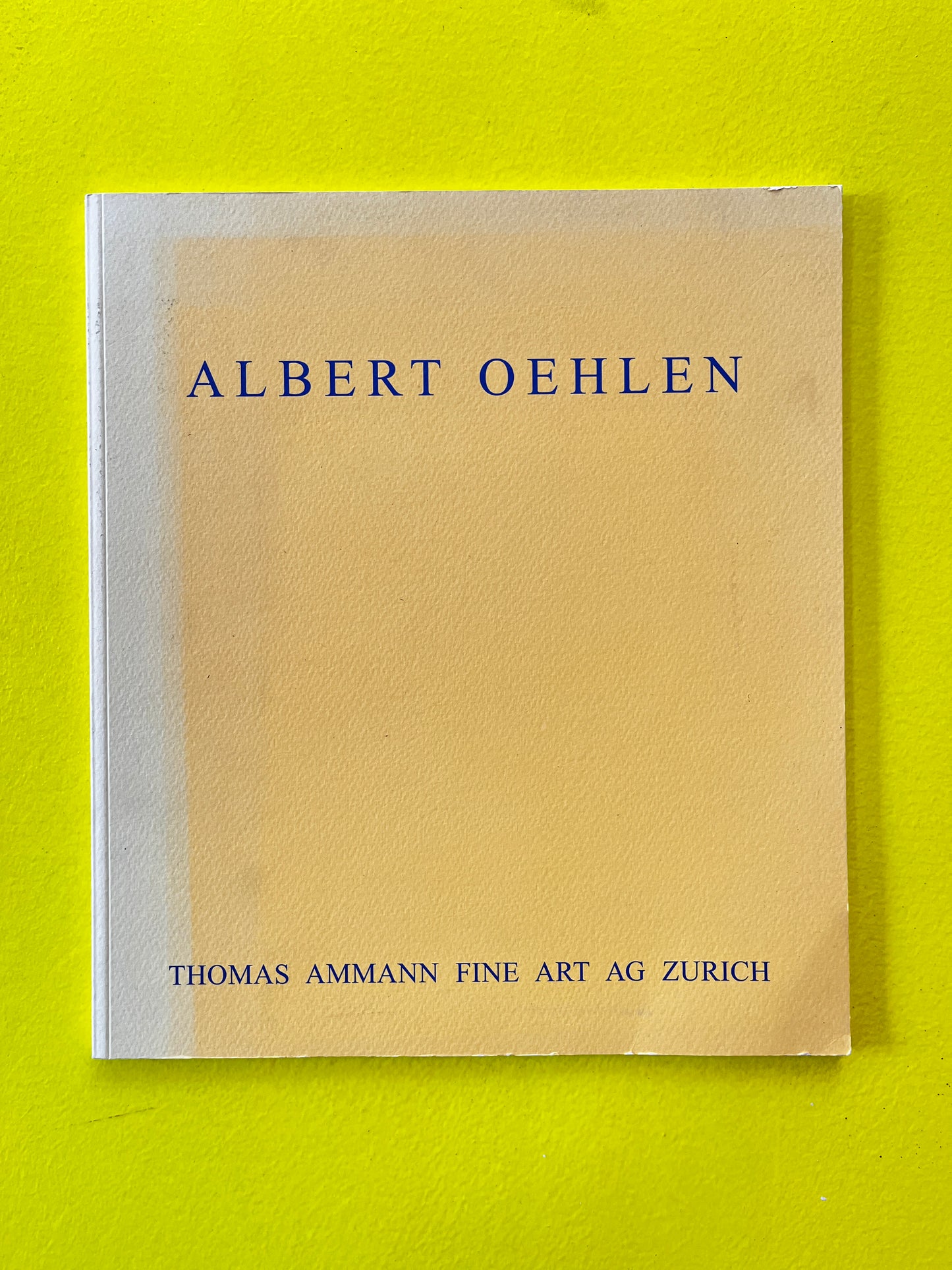 Albert Oehlen - Thomas Ammann Fine Art Zurich