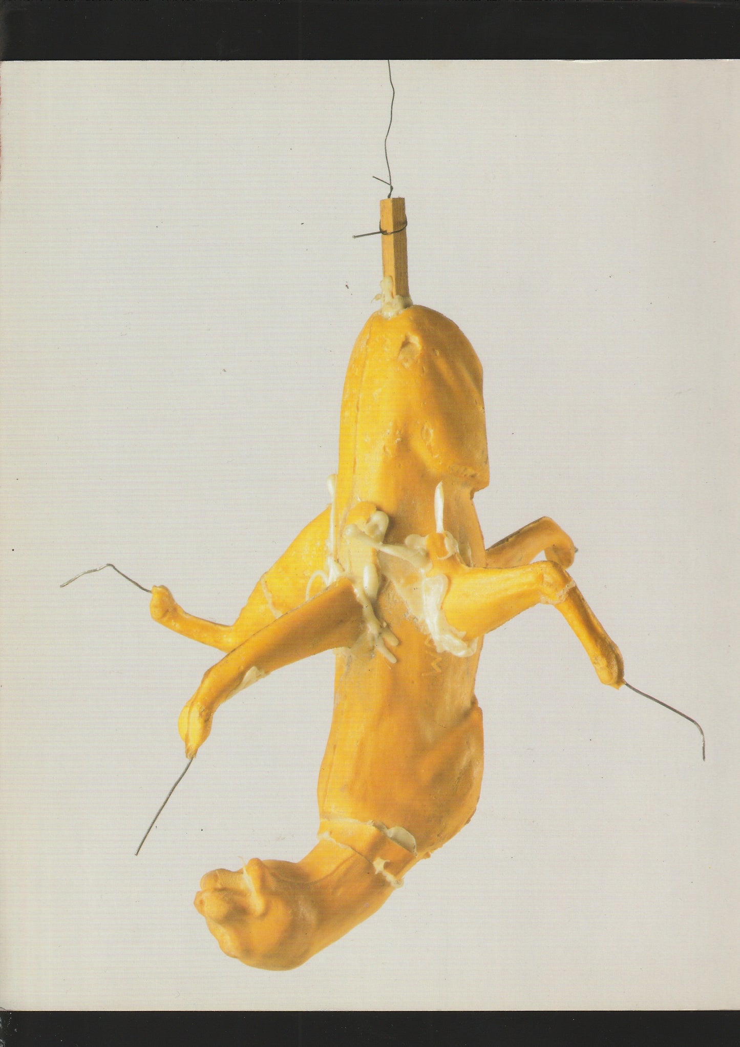 Bruce Nauman: Sculptures et Installations 1985-1990